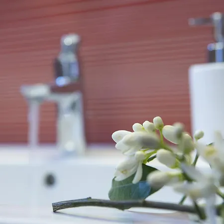 Alegria Boutique * Ligia