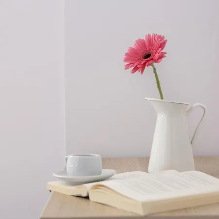 Alegria Boutique Ligia