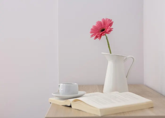 Alegria Boutique ליגיה