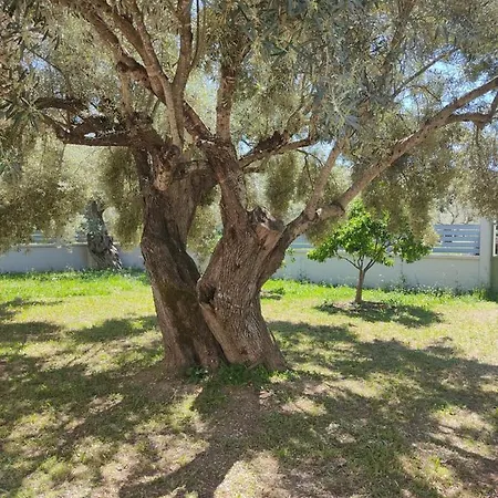 Alegria Boutique Lygia (Lefkada)