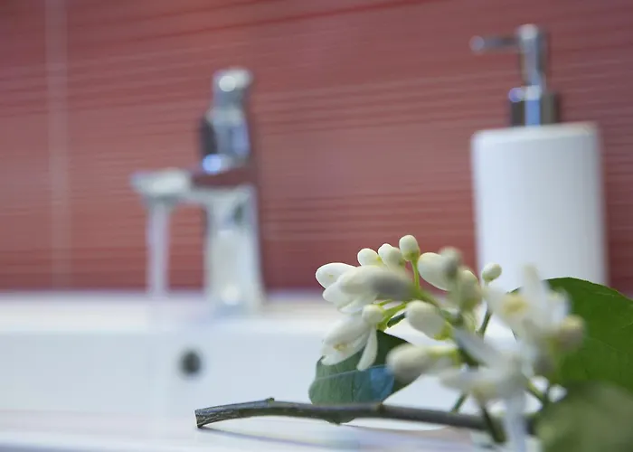 Alegria Boutique * Лигия